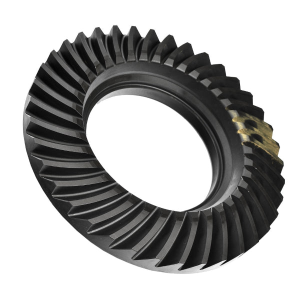 Ring & Pinion Pro Ford 10" Reverse Shot Peened 4.86 Ratio